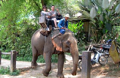 Elefantenreiten phuket