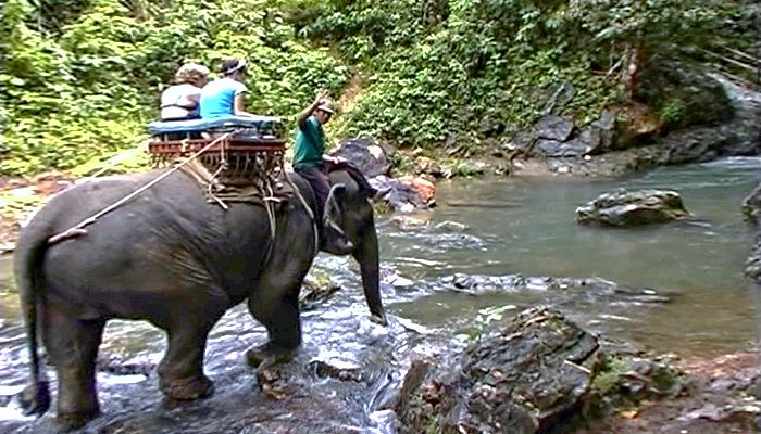 Khao Sok Nationalpark