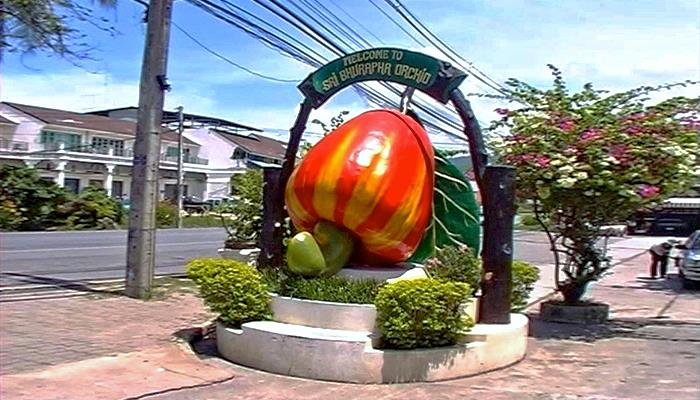 Phuket Nussfabrik Orchid Sri Bhurapa