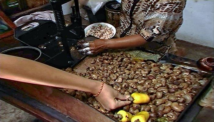 Phuket Nussfabrik Orchid Sri Bhurapa